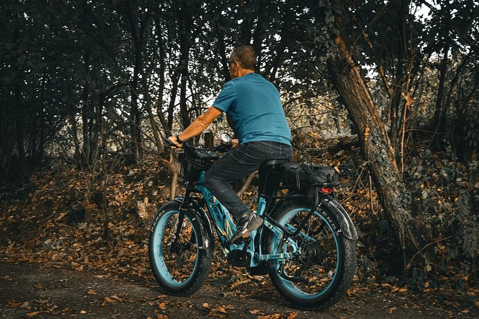 ride ebike in leaf-strewn road