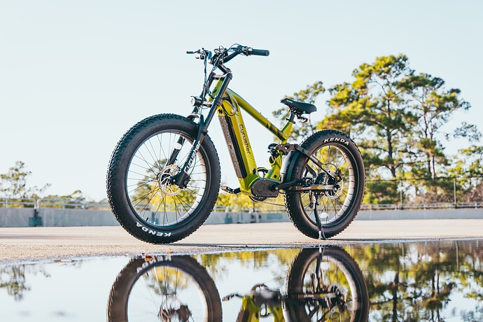 Ranger all terrain electric bike