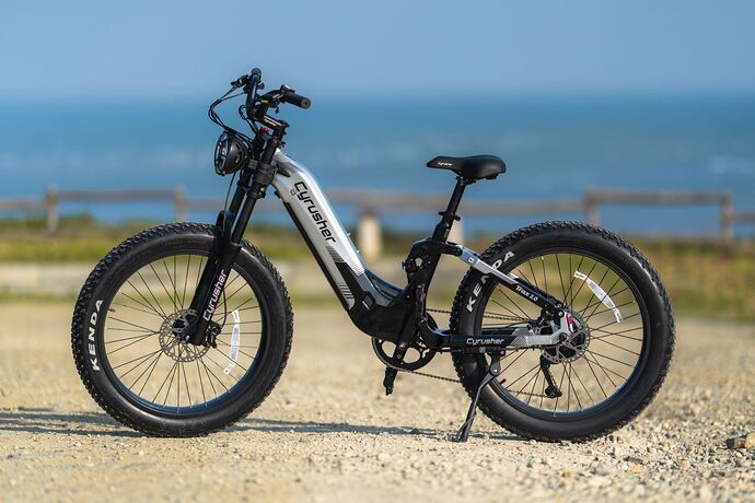 Trax 2.0 step-through ebike