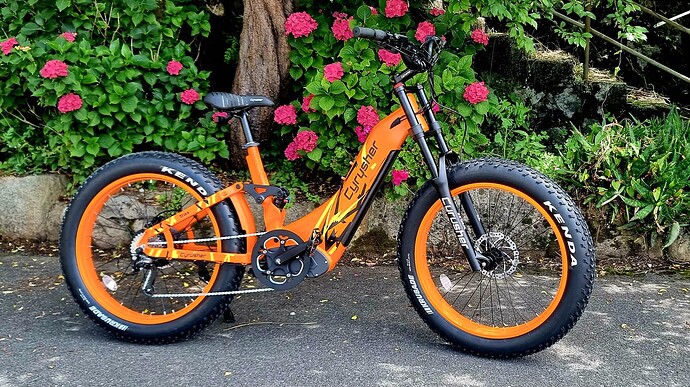 Trax all terrain electric bike