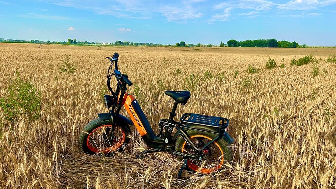 Kommoda step through ebike