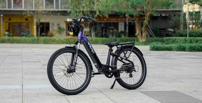 Grace city ebike