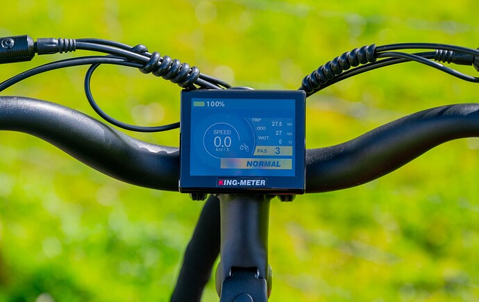 Electric bike ride mode