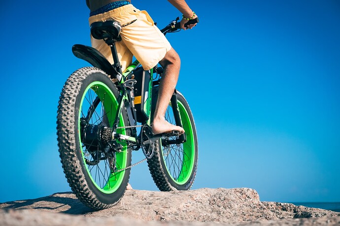 fat tire electric bike