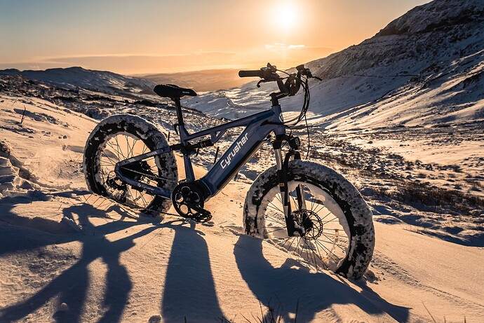 Rover full suspension ebike