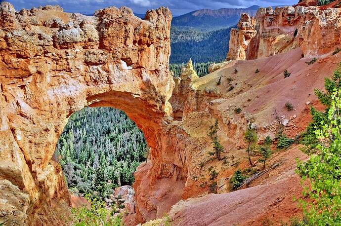 Wedge Overlook Trail