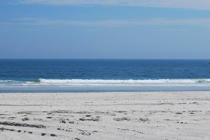 Island Beach State Park