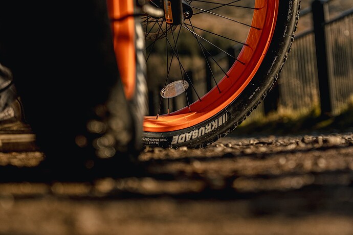 fat tire ebike