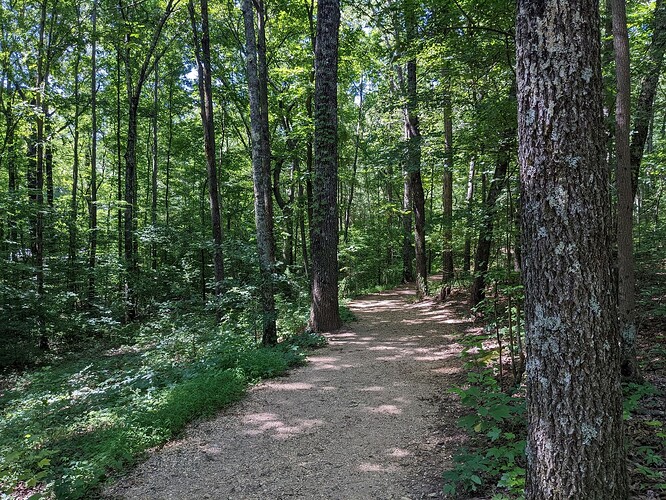 White Oak Mountain Trails